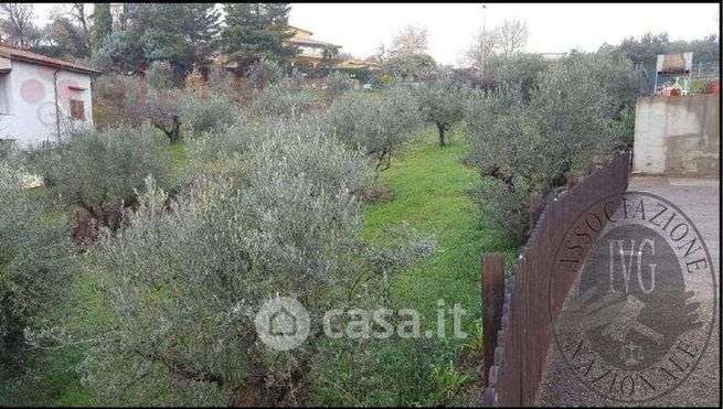 Terreno agricolo in commerciale in Via della Repubblica