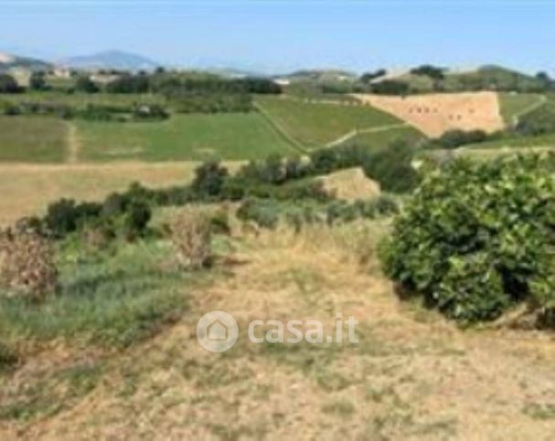 Terreno edificabile in residenziale in Contrada Menocchia