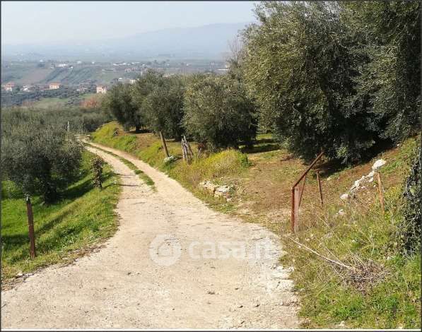 Terreno agricolo in commerciale in Via Don Giovanni Minzoni