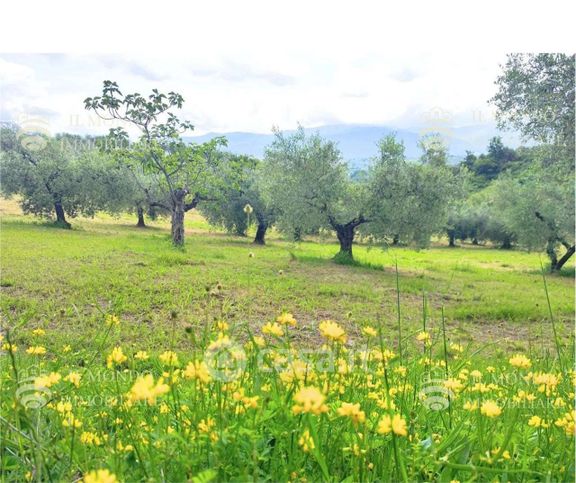 Terreno agricolo in commerciale in Strada di Colle Fagiano