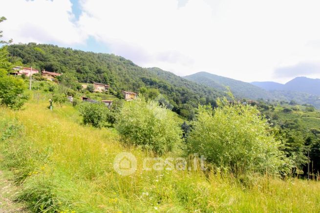 Terreno agricolo in commerciale in Via Boscalgisi