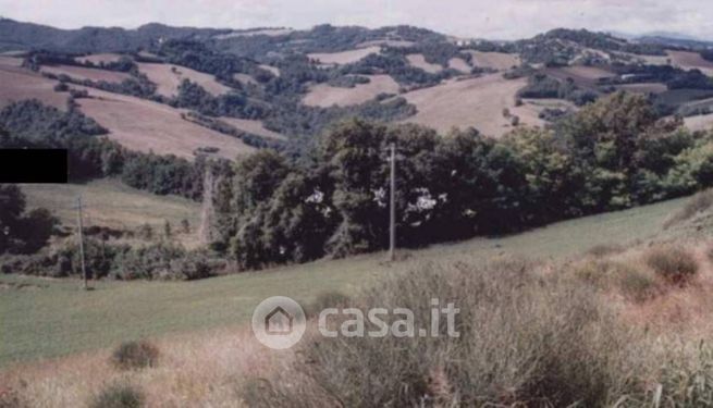 Terreno agricolo in commerciale in Via Montecipollino