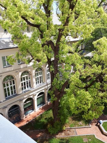 Appartamento in residenziale in Via Assarotti 9