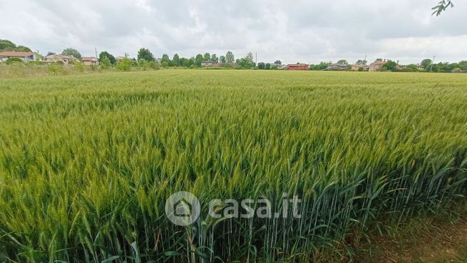 Terreno agricolo in commerciale in 
