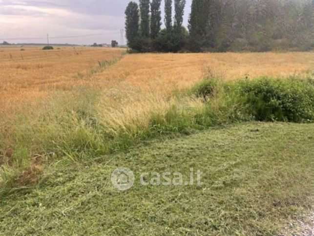 Terreno agricolo in commerciale in Via Pramorin 9