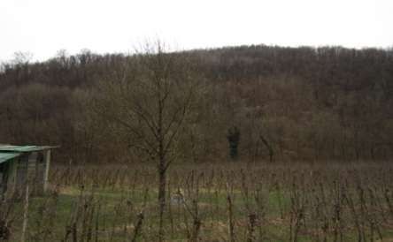 Terreno agricolo in commerciale in Via Alpe Adria