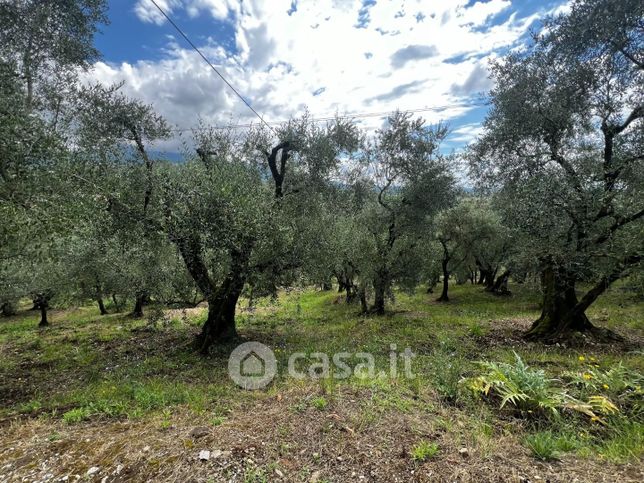 Terreno agricolo in commerciale in Via della Torretta 562