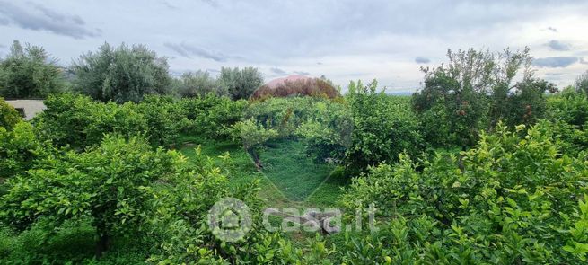 Terreno agricolo in commerciale in Via Vittorio Emanuele