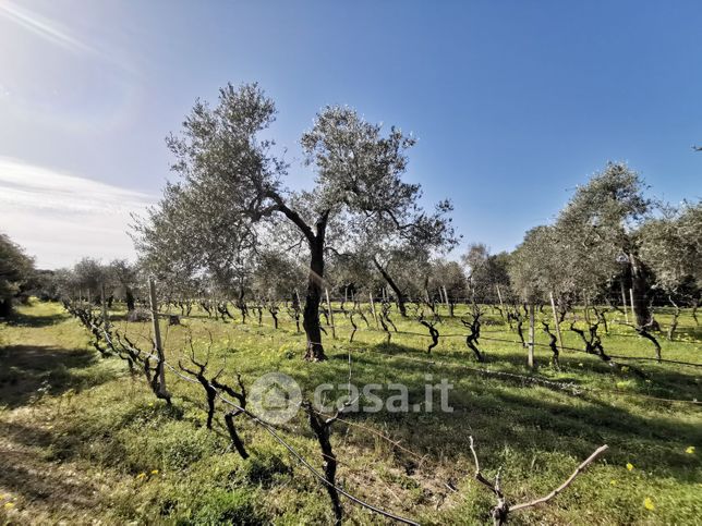 Terreno agricolo in commerciale in Piazzale Le Bombarde