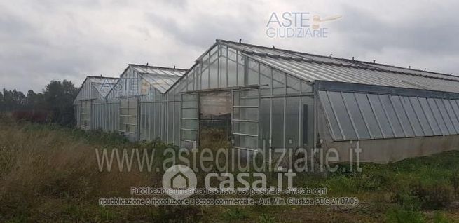 Terreno agricolo in commerciale in 