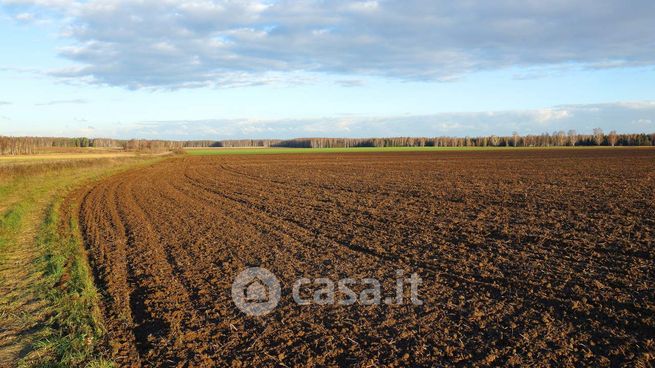 Terreno agricolo in commerciale in Via Rinaldo Montuoro