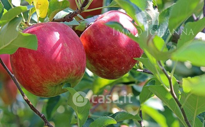 Terreno agricolo in commerciale in Strada Provinciale 58