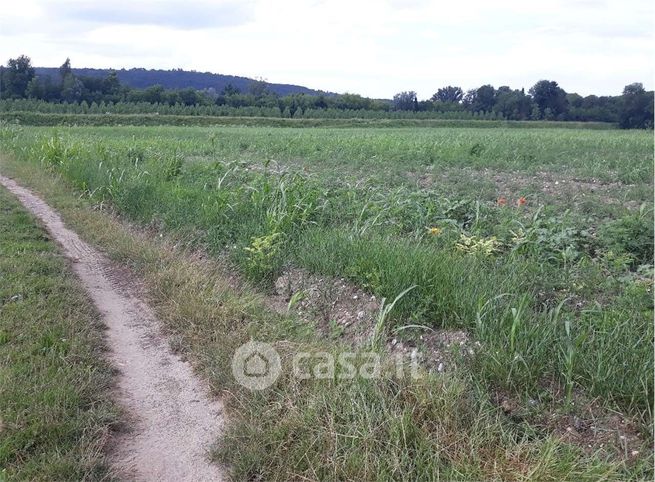 Terreno agricolo in commerciale in SP10