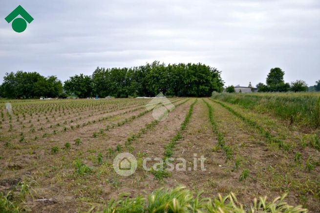 Terreno agricolo in commerciale in Via Sabotino