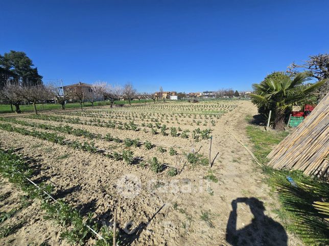 Terreno agricolo in commerciale in Via San Giuseppe