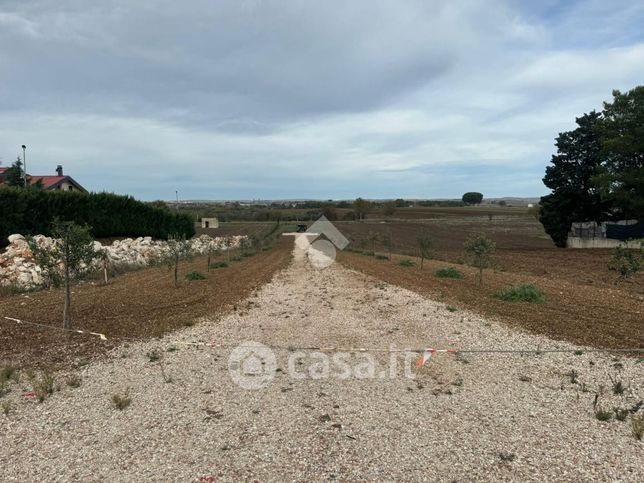 Terreno agricolo in commerciale in Strada Comunale la Tarantina