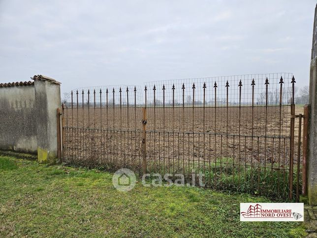 Terreno agricolo in commerciale in Via dei Badilanti