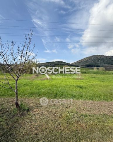 Terreno agricolo in commerciale in Via Ostaglio 137