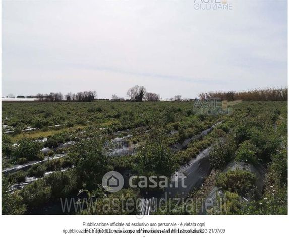 Terreno agricolo in commerciale in 