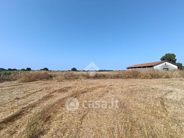 Terreno agricolo in commerciale in Strada Valmontorio