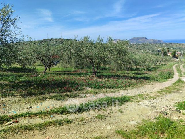 Terreno agricolo in commerciale in 