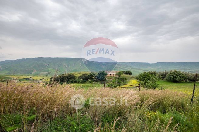 Terreno agricolo in commerciale in Strada Statale 417