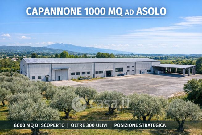 Capannone in commerciale in Via Madonnetta