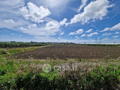 Terreno agricolo in commerciale in Piazza MADONNA delle GRAZIE