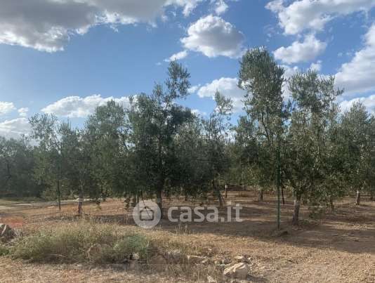 Terreno agricolo in commerciale in Via Vecchia Corato
