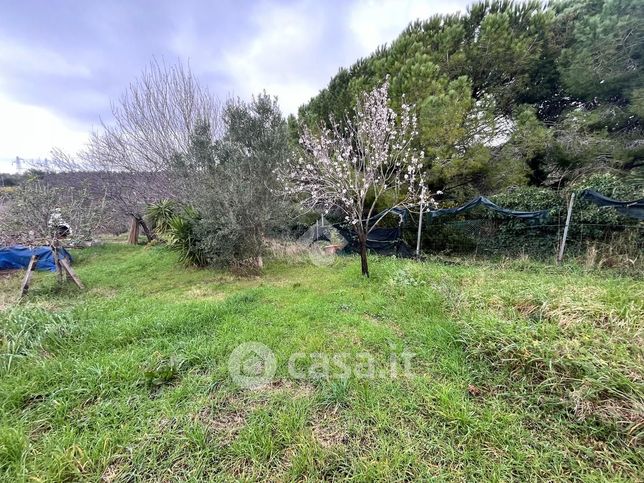 Terreno agricolo in commerciale in Via del Limoncino 13