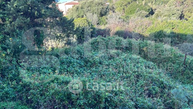 Terreno edificabile in residenziale in Strada Marazzino Ruoni 20