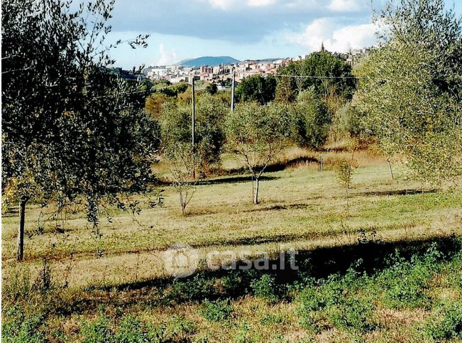 Terreno agricolo in commerciale in Strada San Maria della Collina 106