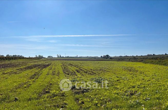 Terreno agricolo in commerciale in nuova cliternia
