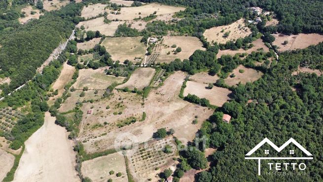 Terreno agricolo in commerciale in Via Tascione