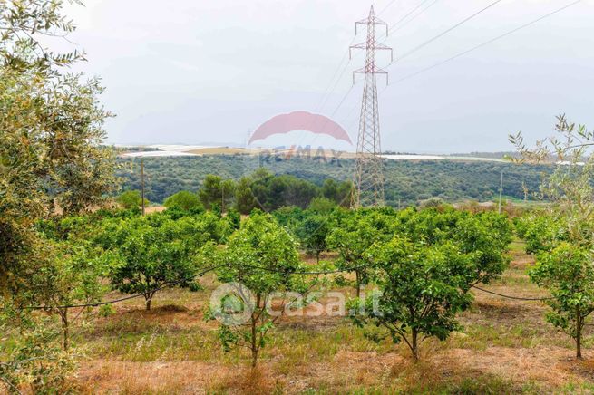 Terreno agricolo in commerciale in Strada Provinciale 34