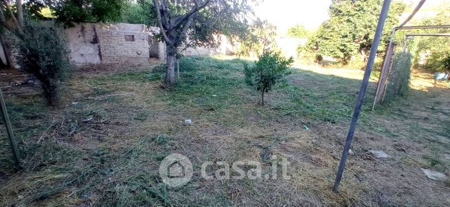 Terreno agricolo in commerciale in Via Andrea Arditi 30