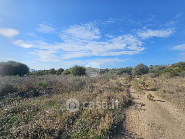 Terreno agricolo in commerciale in Via delle Orchidee