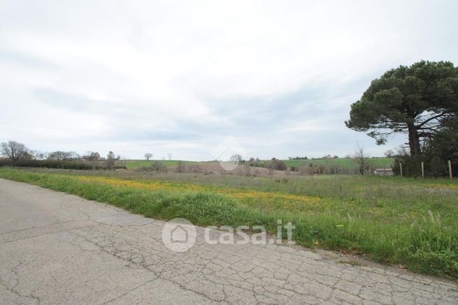 Terreno agricolo in commerciale in Contrada Colle Scalera 4