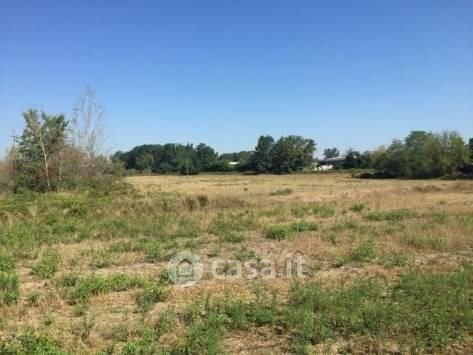 Terreno agricolo in commerciale in Strada Cascine Barbavara