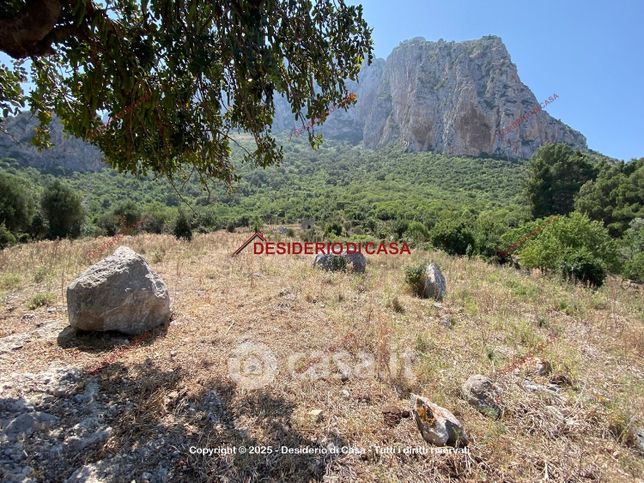 Terreno agricolo in commerciale in Strada Statale 113 Settentrionale Sicula