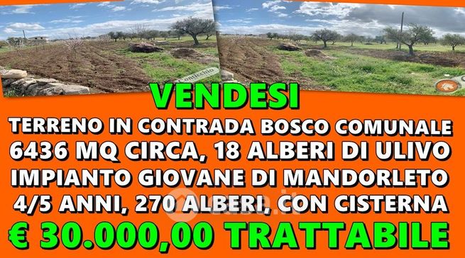 Terreno agricolo in commerciale in