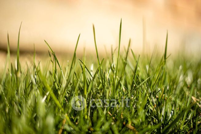 Terreno agricolo in commerciale in Via Piave