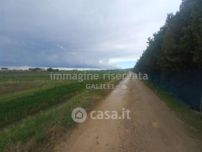 Terreno agricolo in commerciale in Strada del Querciolo