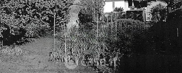 Terreno agricolo in commerciale in Via Antonio Dossi