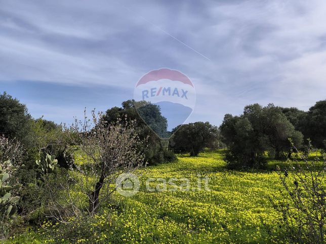 Terreno agricolo in commerciale in 