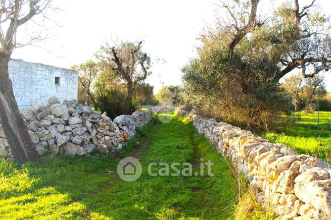 Terreno agricolo in commerciale in Contrada Colacavallo