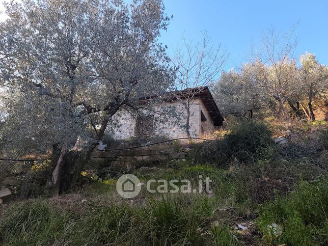 Terreno agricolo in commerciale in Poggio Azzuano