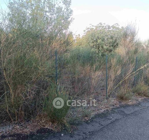 Terreno agricolo in commerciale in Via Pindaro