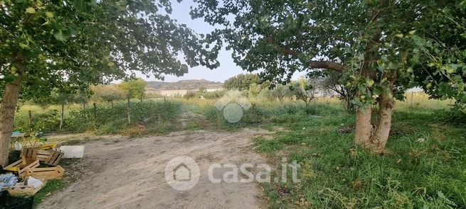 Terreno agricolo in commerciale in Via Campo dei Fiori 8