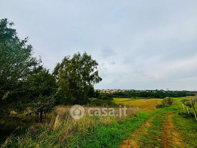 Terreno agricolo in commerciale in Via Delle Scalette